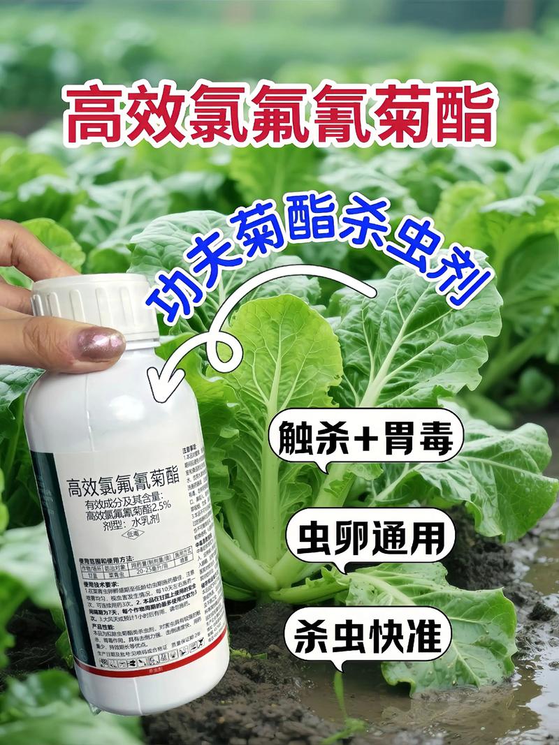 浙江代生中心:农药对供卵代生妈妈的危害